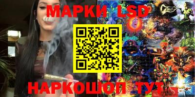 mdpv Дубна