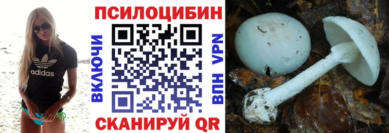 Псилоцибиновые грибы Psilocybine cubensis наркота Нарткала