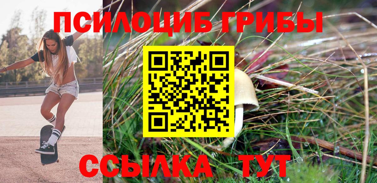 Галлюциногенные грибы MAGIC MUSHROOMS  Вход с VPN  Нарткала 