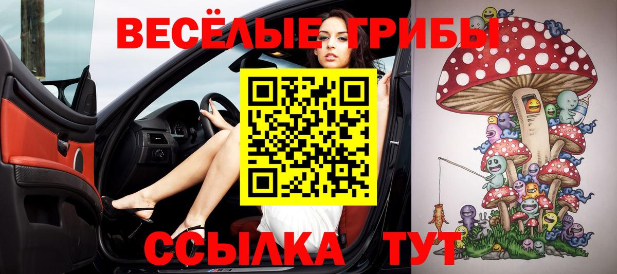 Псилоцибиновые грибы Psilocybine cubensis Нарткала